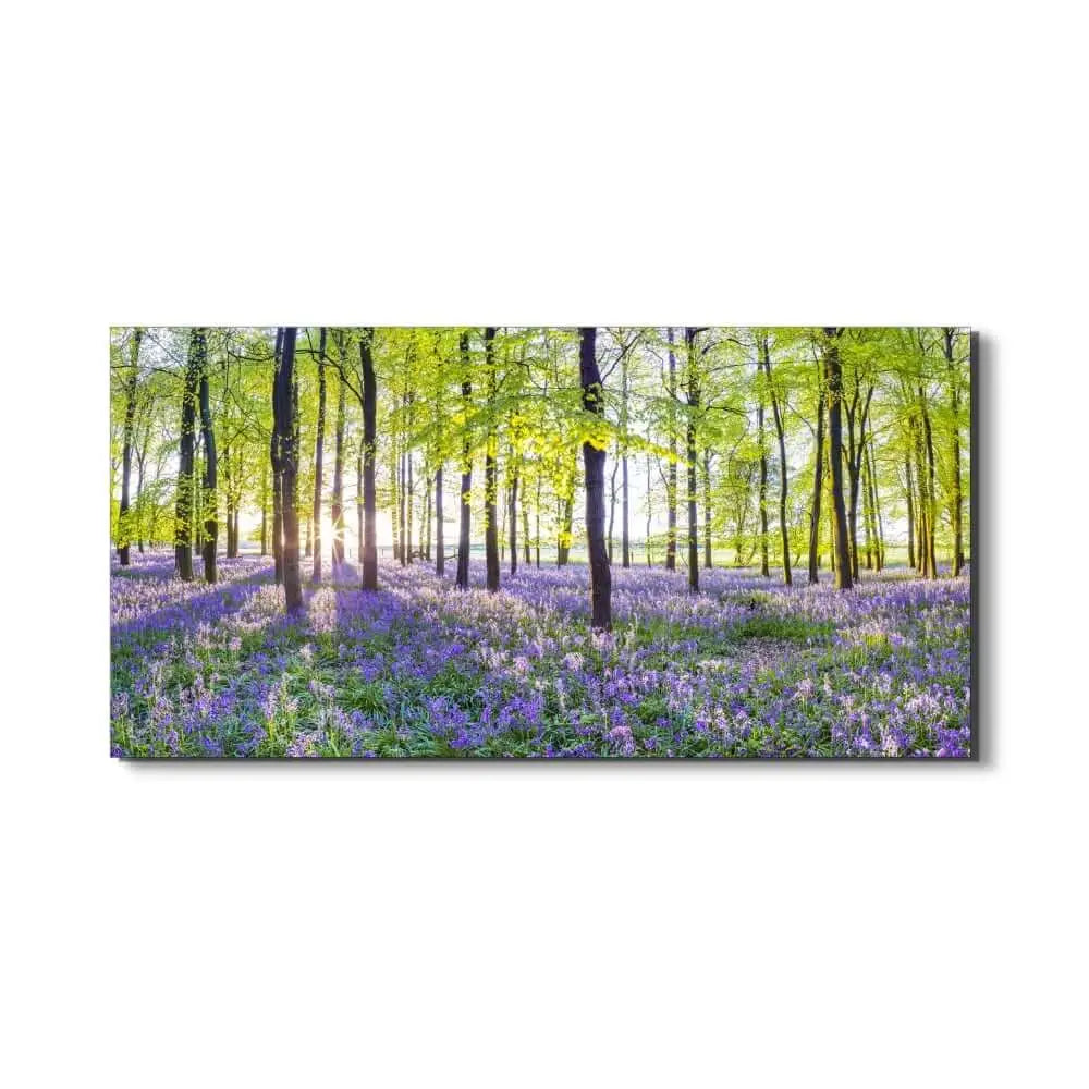 Acrylglasbild "Blauglöckchen im Frühlingswald"